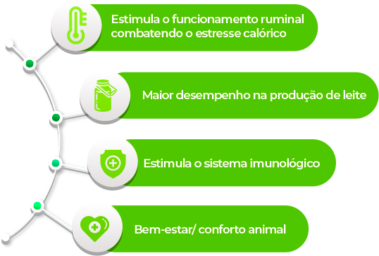 Listagem de benefícios